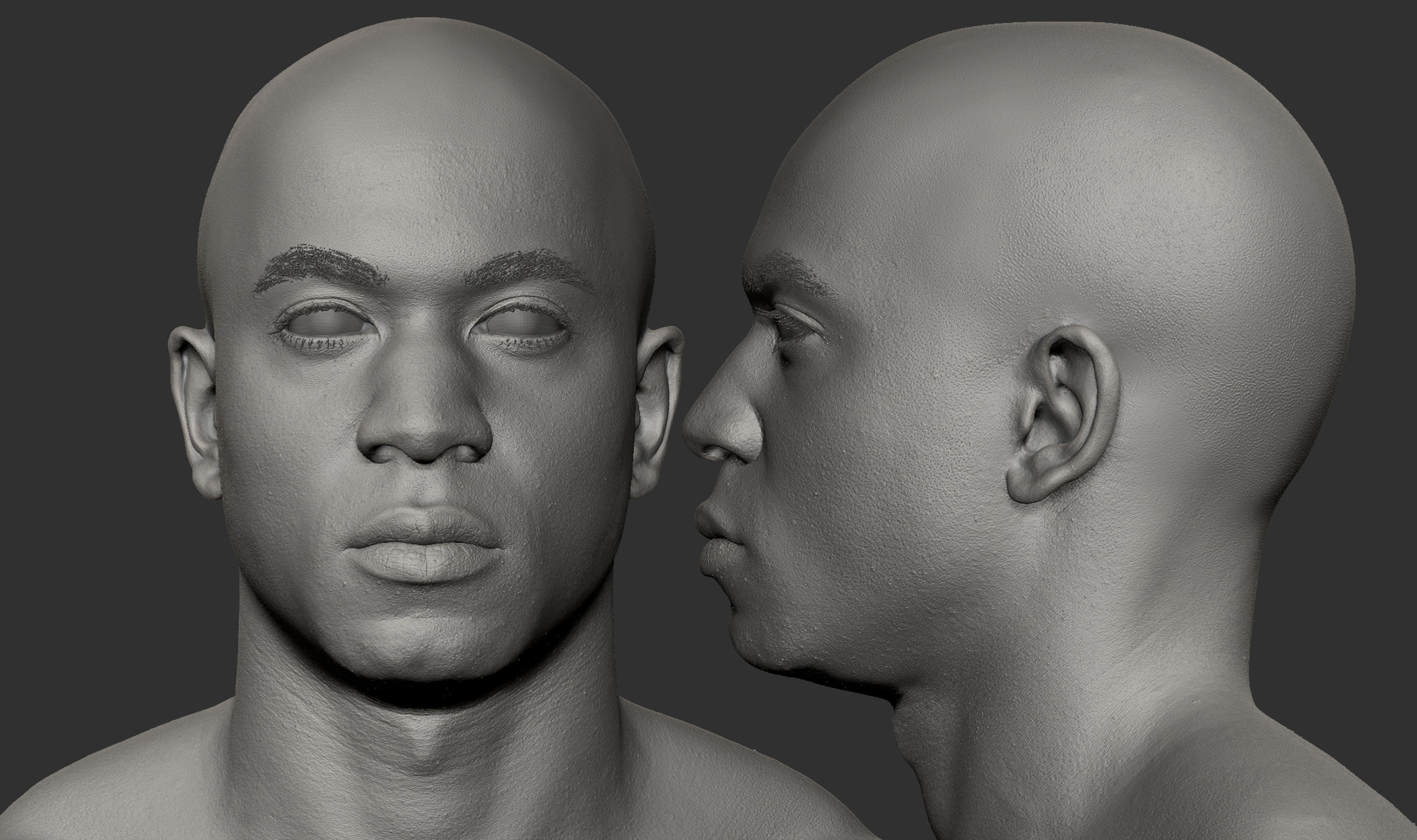 Male Zbrush capture